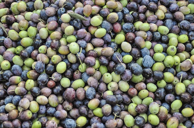 Oliventræets betydning for bæredygtigt landbrug og miljøet